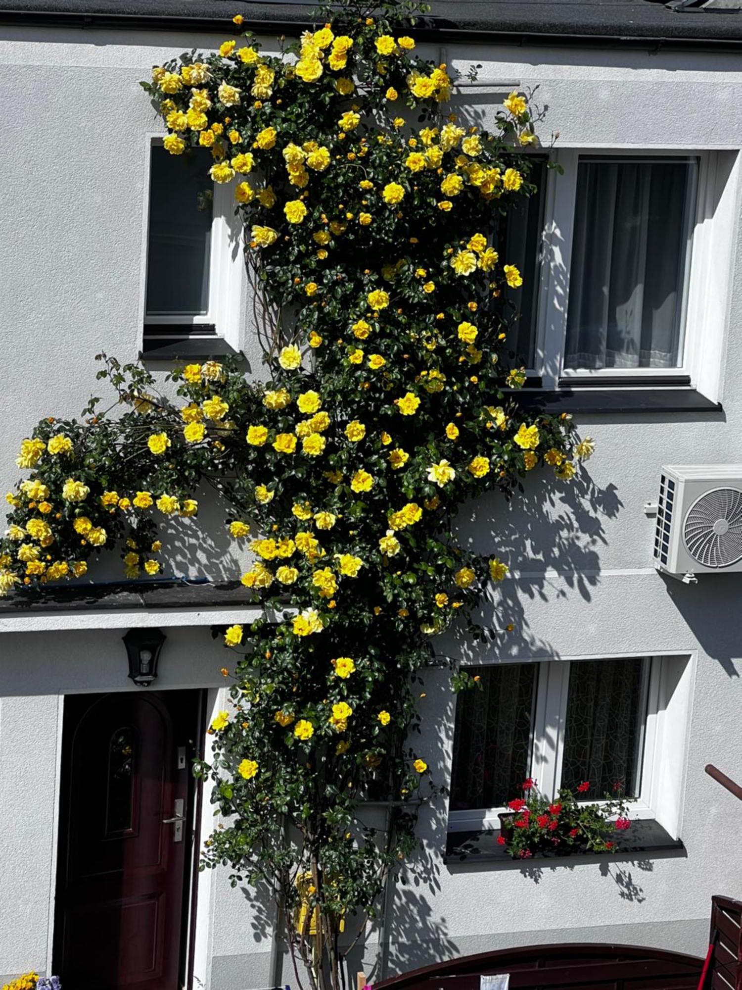 Apartamento Szyper Piotr Jastarnia Exterior foto